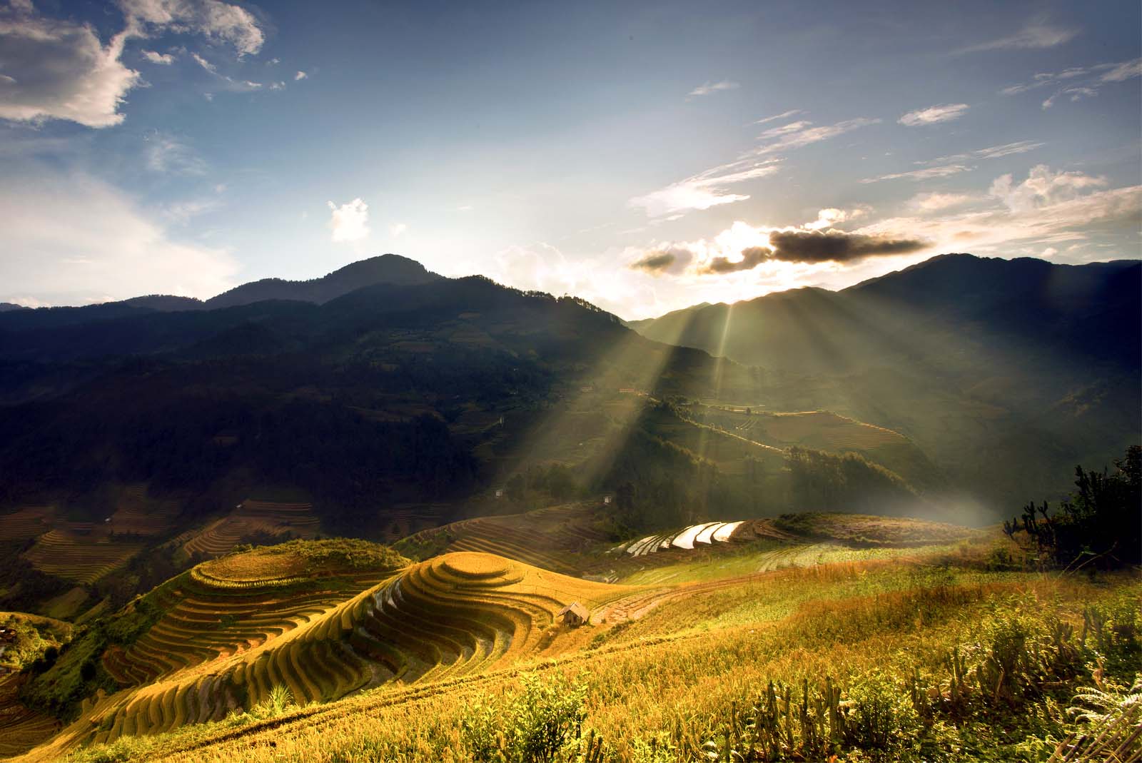 mu cang chai vietnam